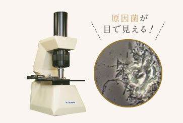 原因菌が目で見える!