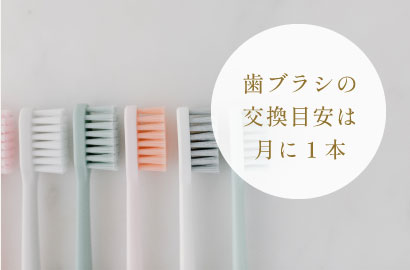歯ブラシの交換目安は月に1本