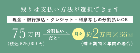 残りは支払い方法が選択できます(現金・銀行振込・クレジット・利息なしの分割払いOK)